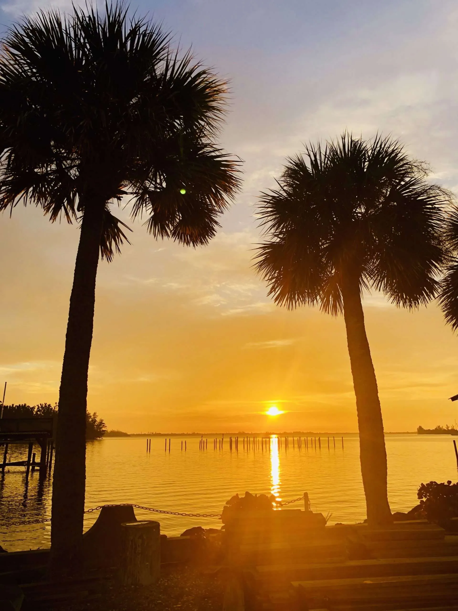Two Palm Trees With The Sunset In The Background 2024 11 27 00 46 59 Utc Scaled